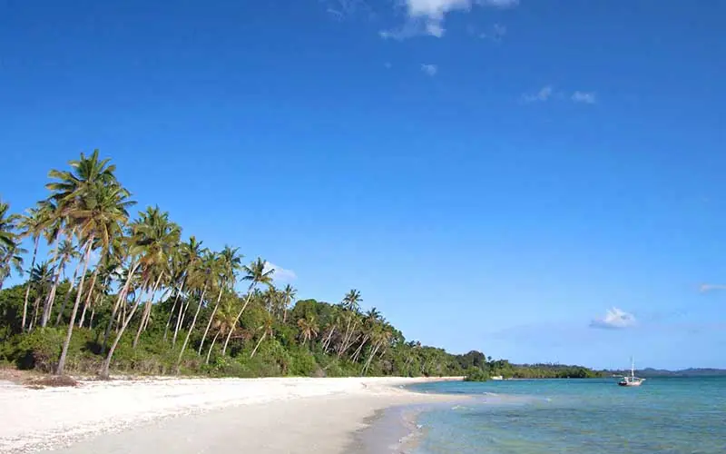 White sand beach with palm trees and turquoise water, Fundu Lagoon, Zanzibar & Pemba, Tanzania