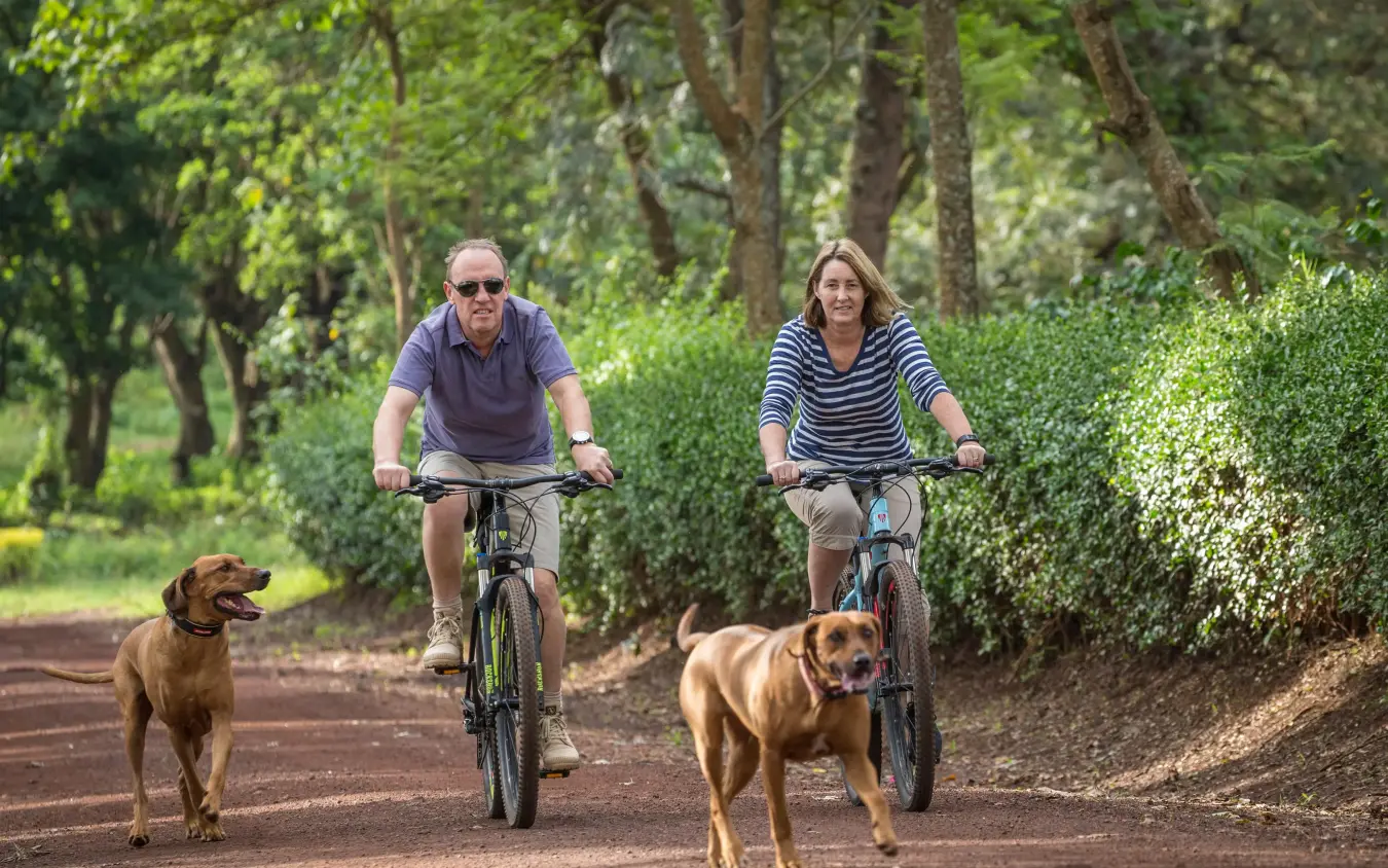 Couple cycling on tree-lined path with two dogs