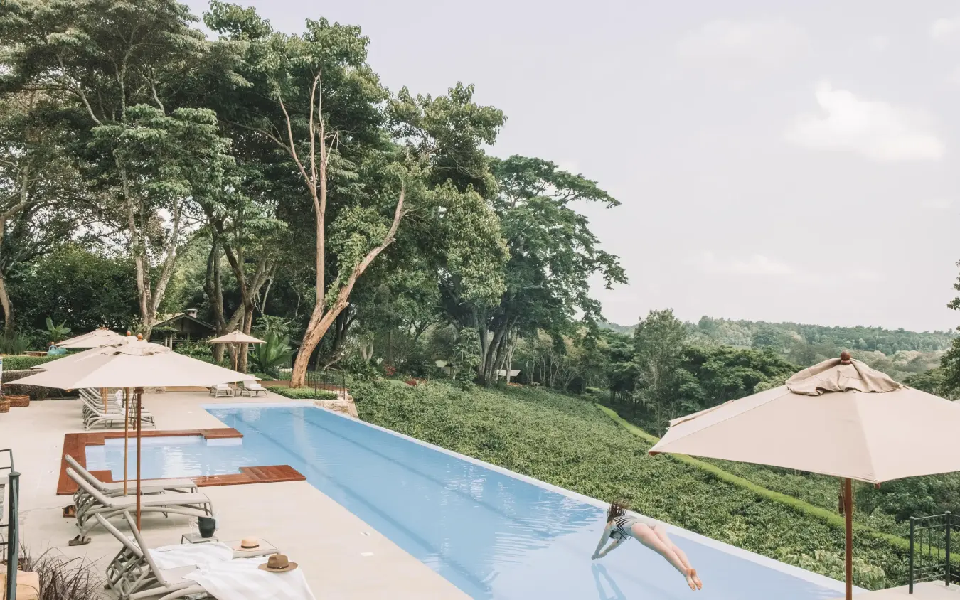 Infinity pool overlooking forested valley with umbrellas, Gibb’s Farm, Ngorongoro Crater, Tanzania