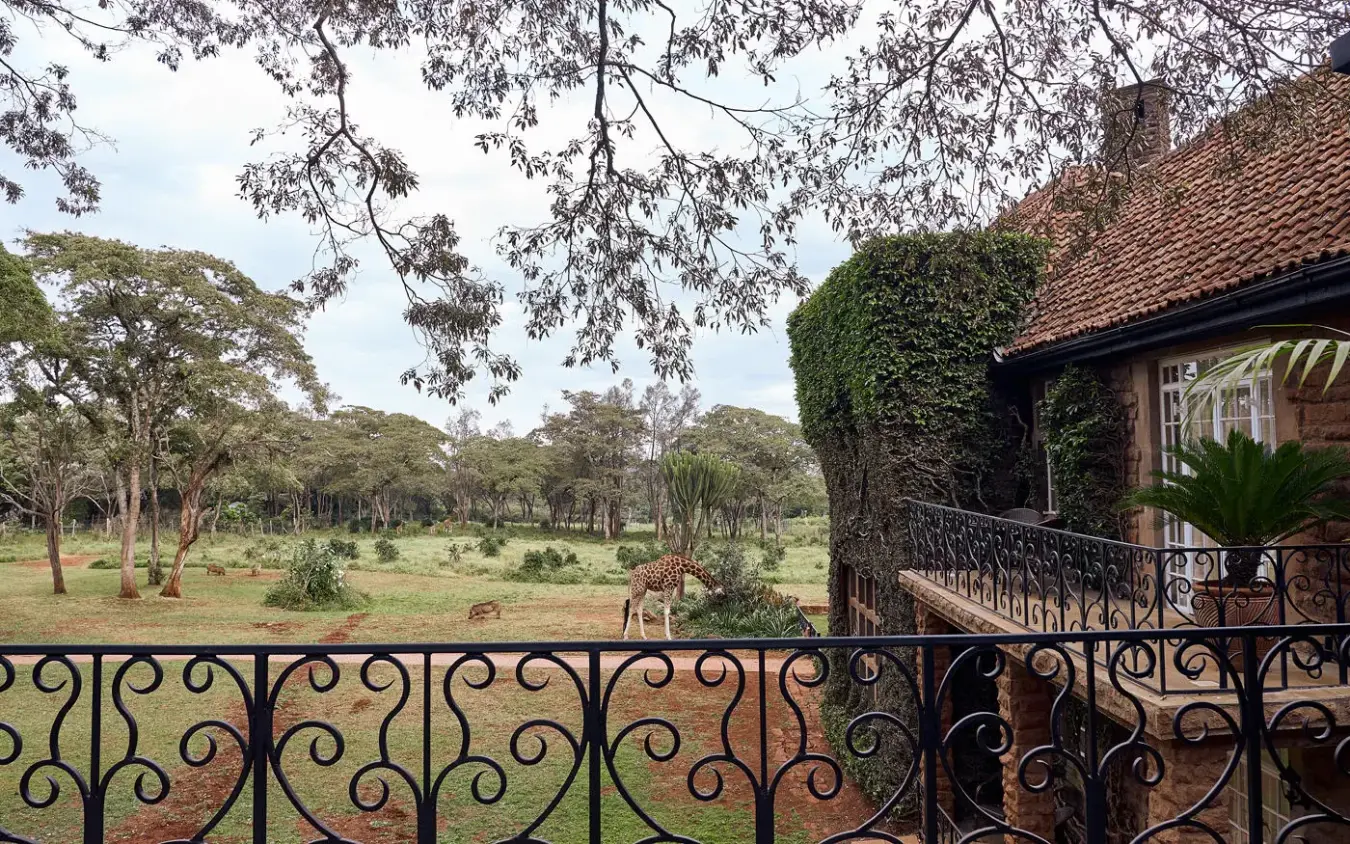 Ornate iron railing overlooking savanna with grazing wildlife, Giraffe Manor, Nairobi, Kenya