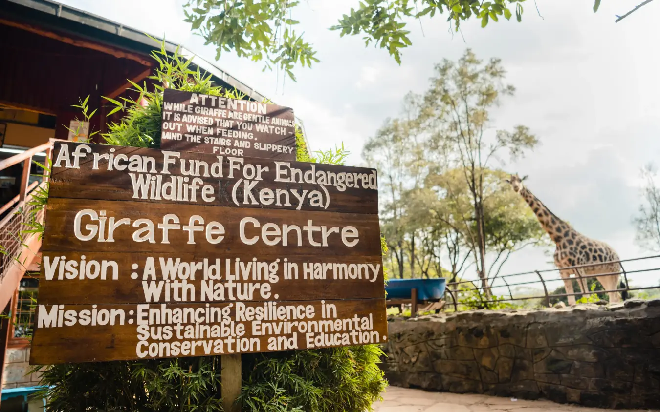 Wooden signage for giraffe centre with animal visible behind, Giraffe Manor, Nairobi, Kenya