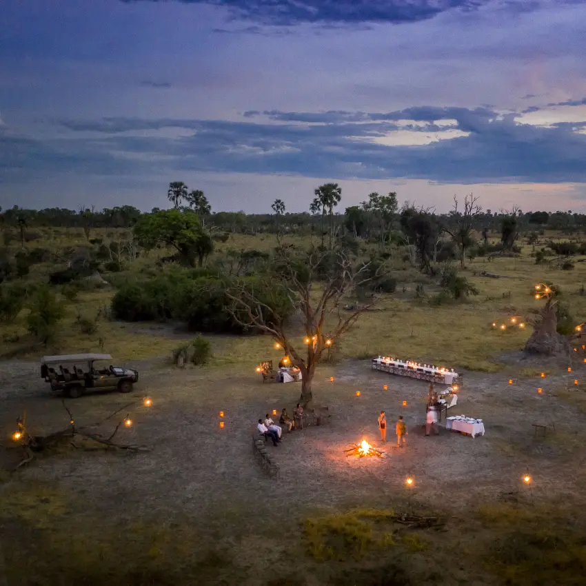 Outdoor evening dinner setup under acacia tree with candlelight, The Okavango Delta, Botswana