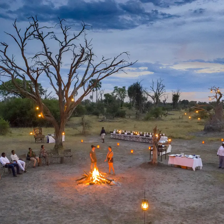Evening outdoor dining setup under ancient baobab tree, Botswana