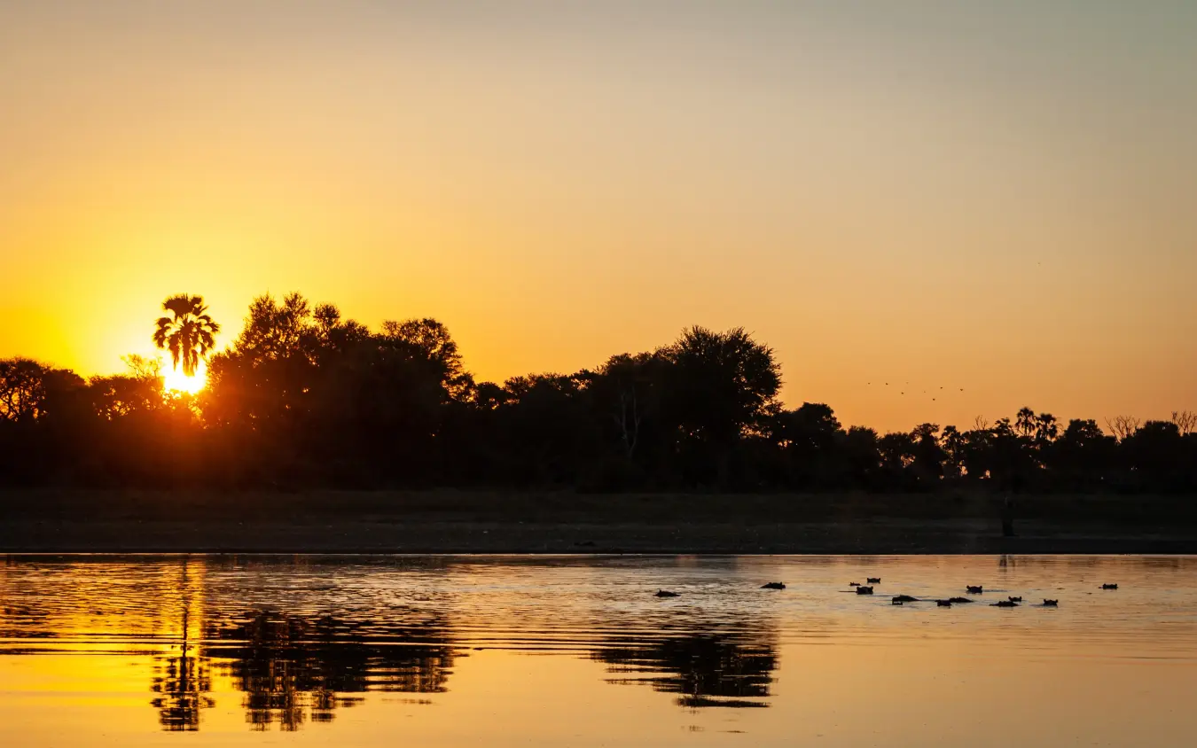 Sunrise over river with elephants drinking at water's edge, Gomoti Plains, The Okavango Delta, Botswana