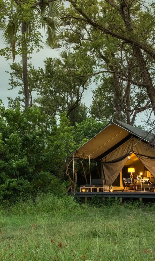 Safari tent accommodation with warm interior lighting at dusk, Gomoti Plains, The Okavango Delta, Botswana