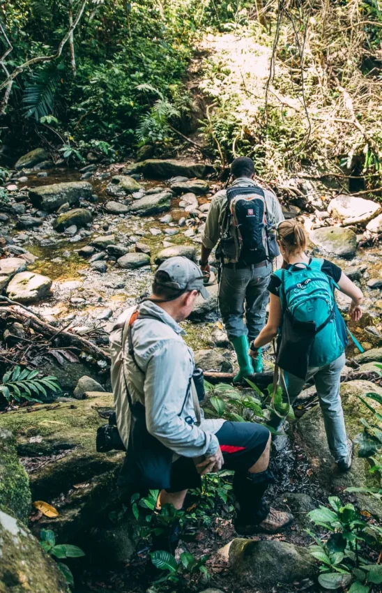 Hikers traversing rocky forest stream on guided trek, Mahale Mountains, Tanzania