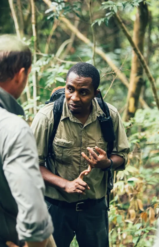 Guide leading group through dense forest vegetation on foot, Greystoke Mahale, Mahale Mountains, Tanzania