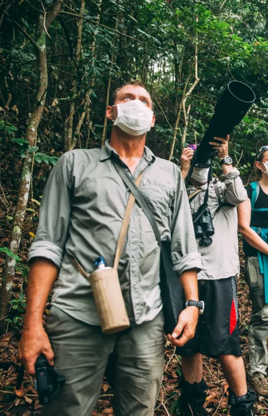 Group of visitors hiking through dense forest with guide, Greystoke Mahale, Mahale Mountains, Tanzania