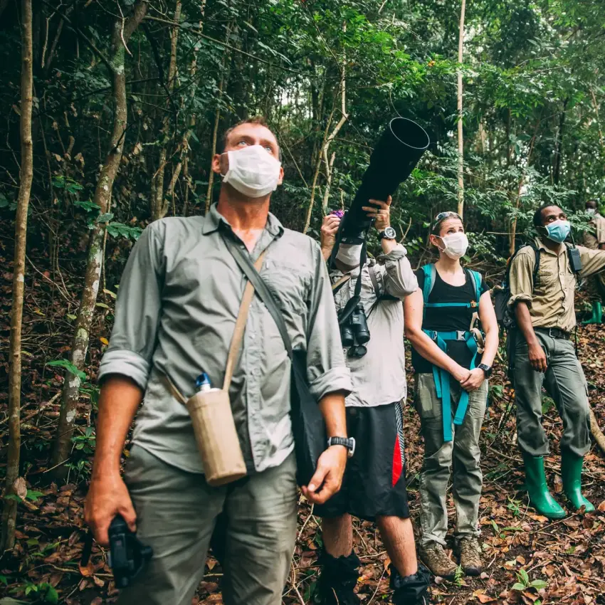 Group of visitors hiking through dense forest with guide, Mahale Mountains, Tanzania