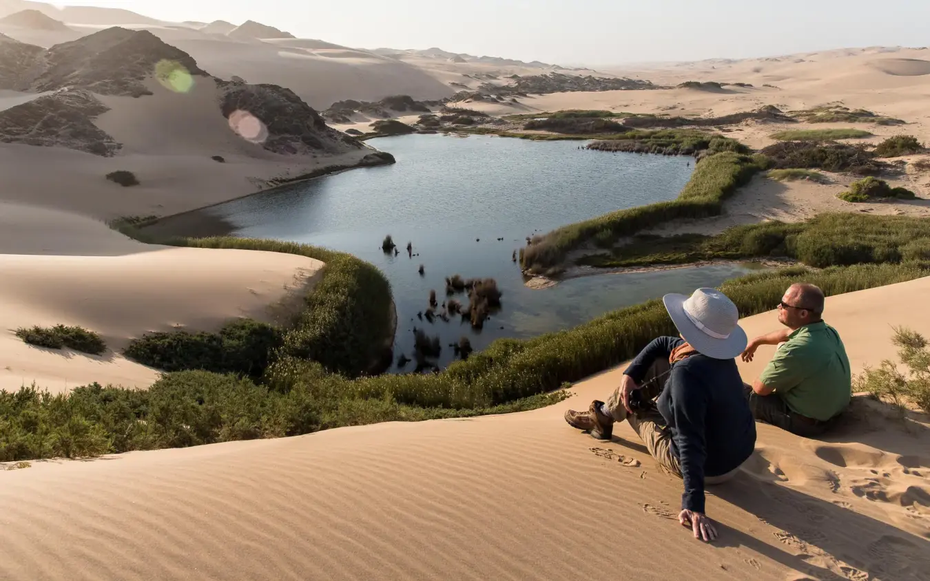 Guests observing wildlife at remote desert lagoon vista, Hoanib Skeleton Coast Camp, Skeleton Coast, Namibia