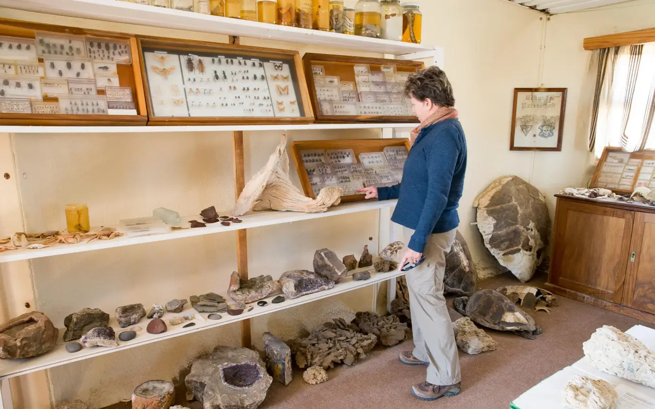 Woman examining fossil and mineral specimens in museum display, Hoanib Skeleton Coast Camp, Skeleton Coast, Namibia