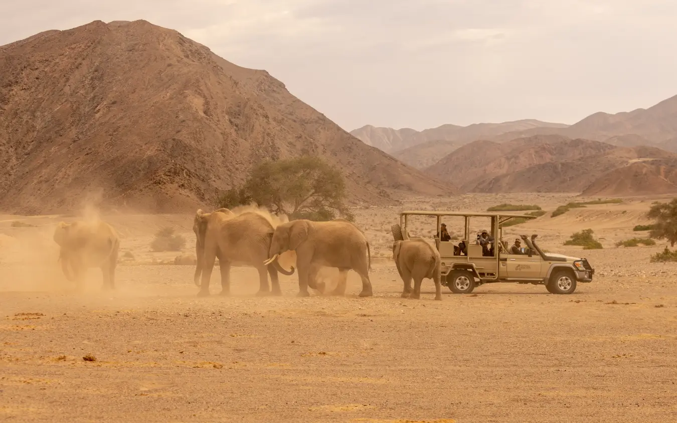 Safari vehicle encounters elephants in dusty desert landscape, Hoanib Valley Camp, Damaraland, Namibia