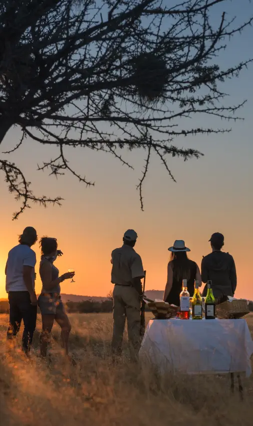Group gathered at table under acacia tree at sunset in savanna grassland, Horizon by Ongava, Etosha National Park, Namibia