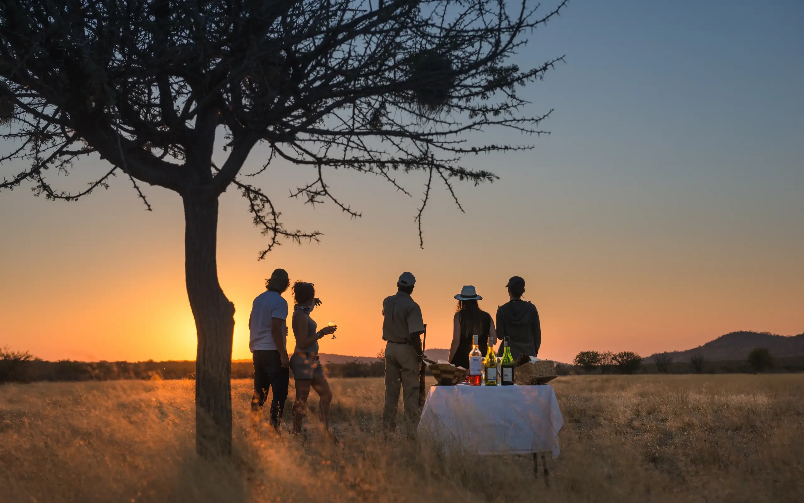 Group gathered at table under acacia tree at sunset in savanna grassland, Horizon by Ongava, Etosha National Park, Namibia