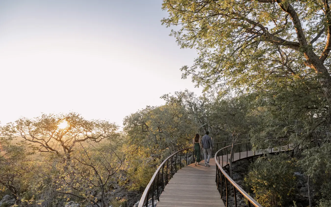 Elevated wooden walkway through forest canopy with guests at sunrise, Horizon by Ongava, Etosha National Park, Namibia