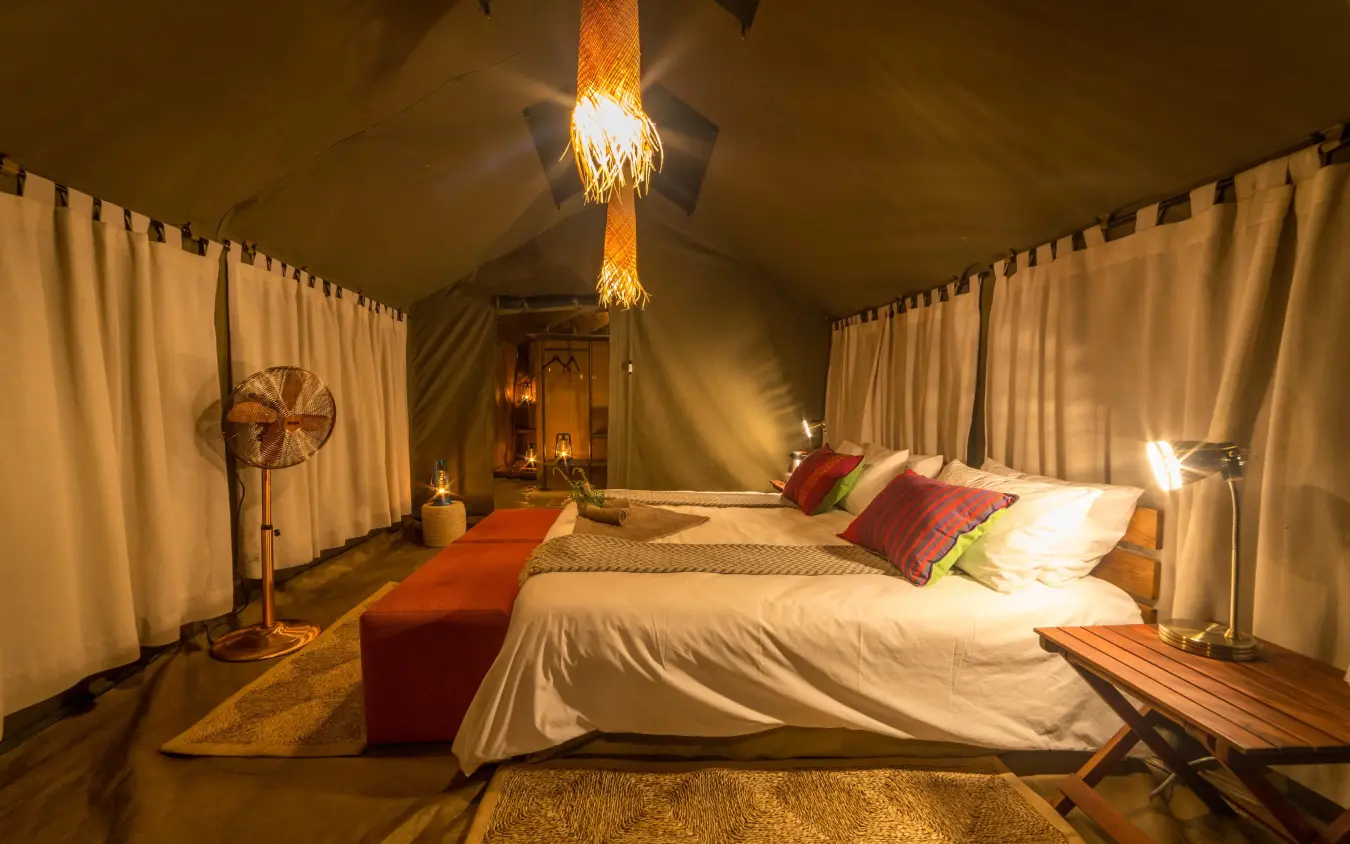 Spacious tent bedroom with warm lighting and colorful bedding, Hwange Bush Camp, Hwange National Park, Zimbabwe