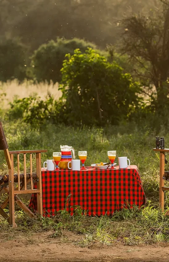 Safari picnic setup with chairs and red checkered tablecloth, Il Ngwesi, Laikipia Highlands, Kenya