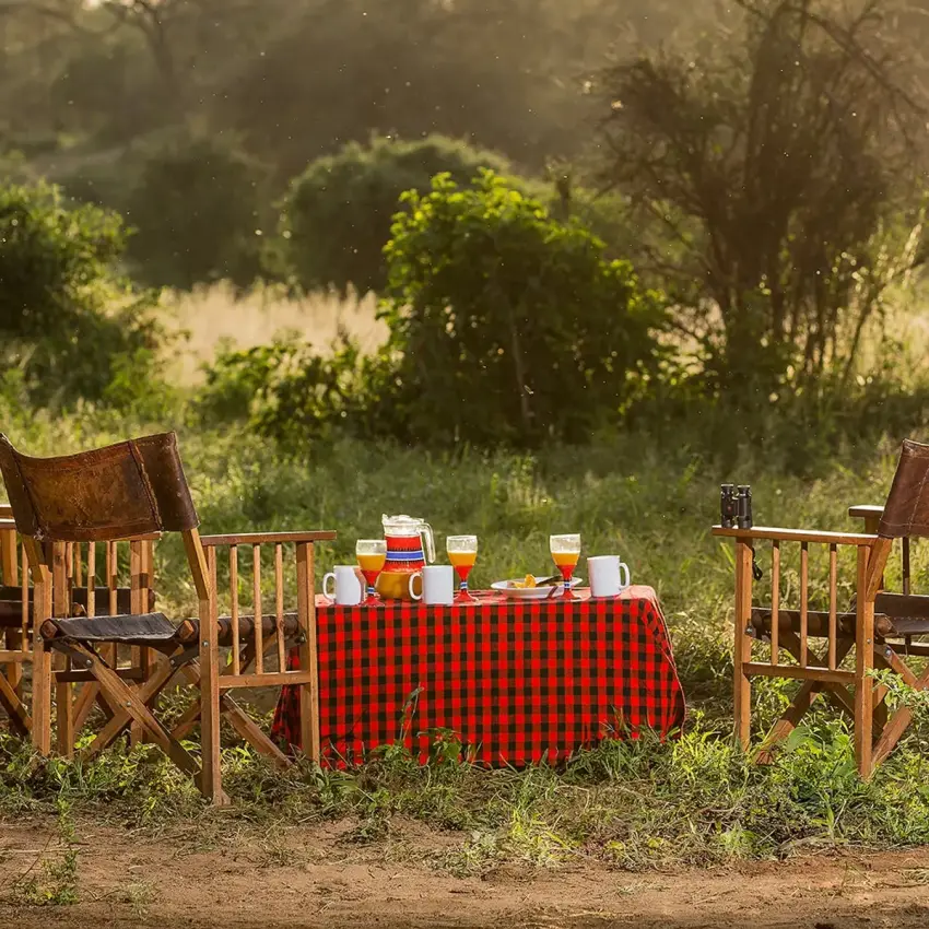 Safari picnic setup with chairs and red checkered tablecloth, Il Ngwesi, Laikipia Highlands, Kenya