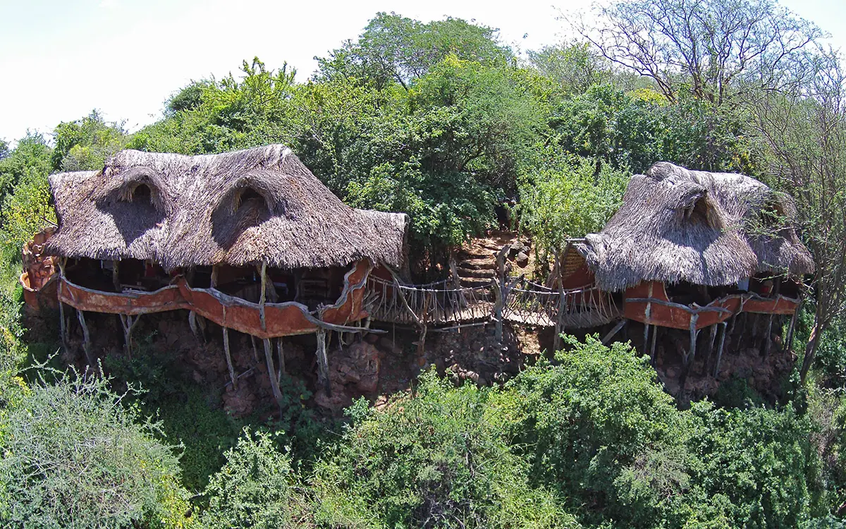 Thatched-roof lodge structures elevated among trees, Il Ngwesi, Laikipia Highlands, Kenya