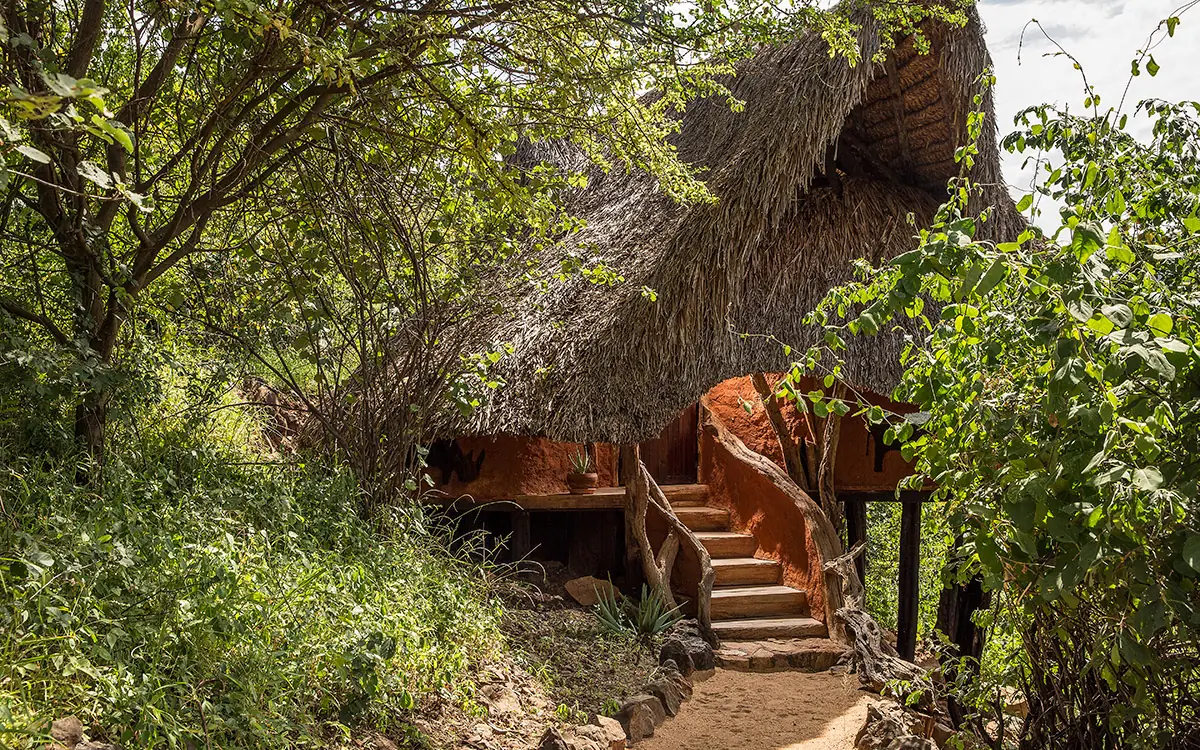 Thatched roof lodge entrance nestled among green vegetation, Il Ngwesi, Laikipia Highlands, Kenya