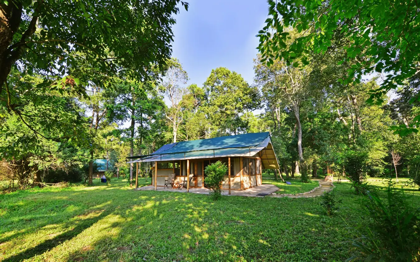 Wooden lodge building with blue roof surrounded by trees, Ishasha Wilderness Camp, Queen Elizabeth NP, Uganda