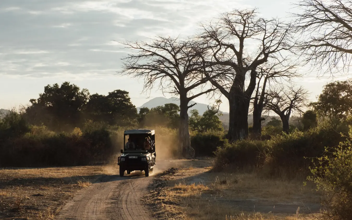 Safari vehicle driving on dusty road through African bush, Jabali Ridge, Ruaha National Park, Tanzania