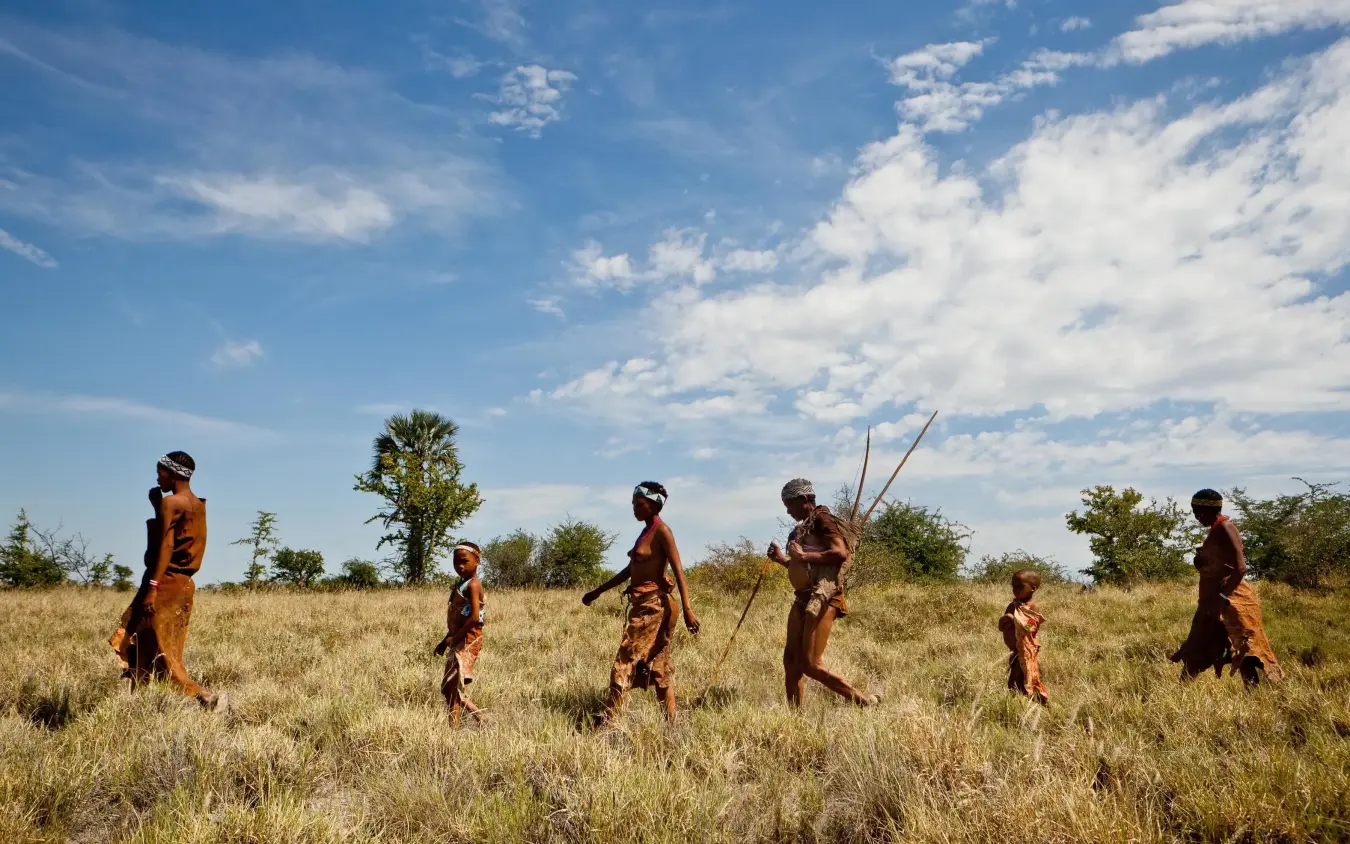 Indigenous trackers walking across savanna grassland