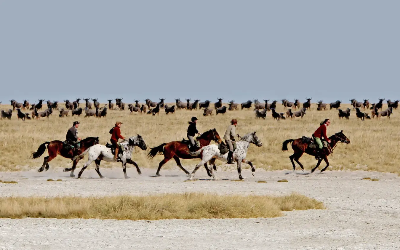 Horseback riders herding goats across desert landscape