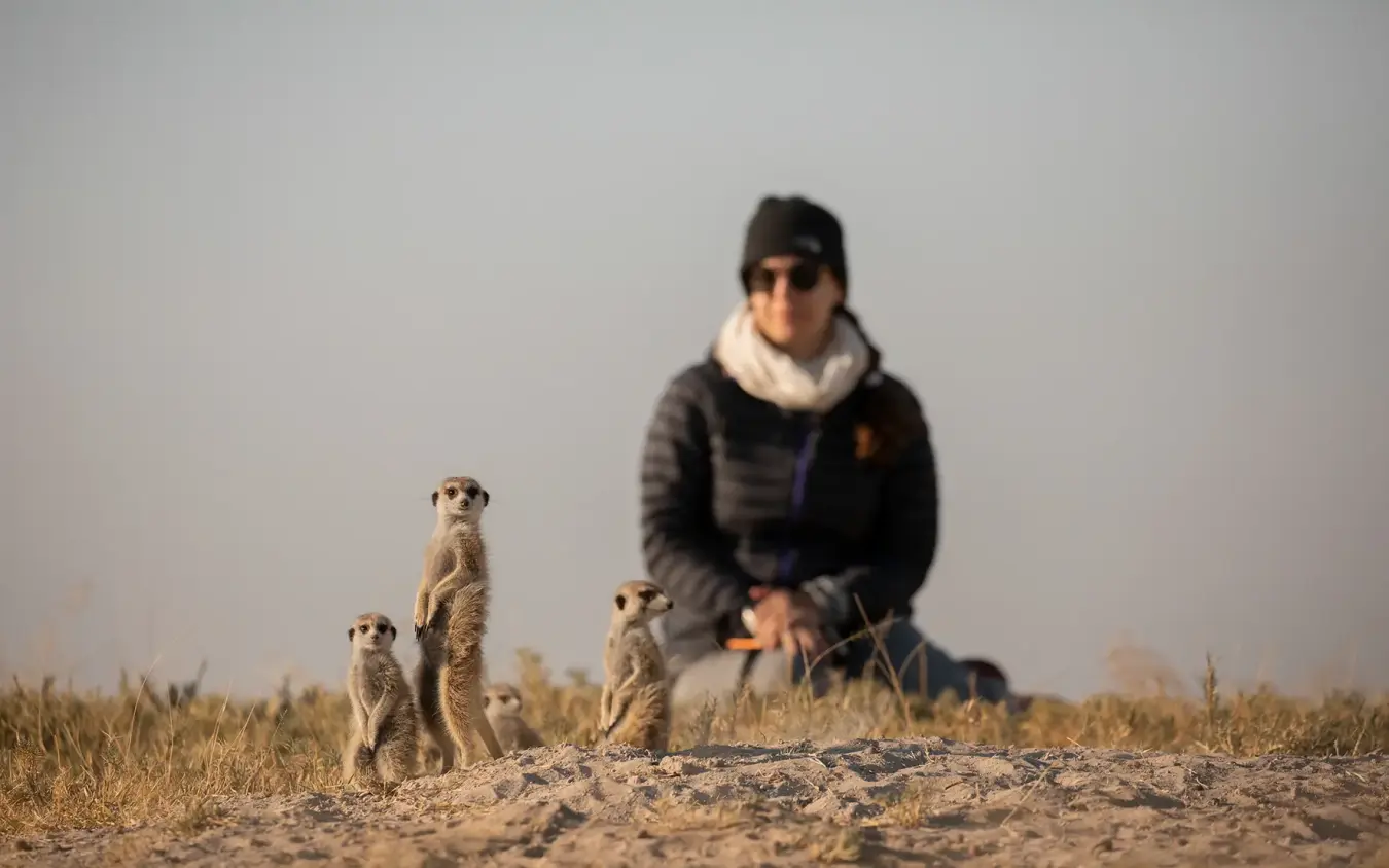 Guest observing meerkats in natural habitat during safari, Jack’s Camp, Makgadikgadi Pans, Botswana