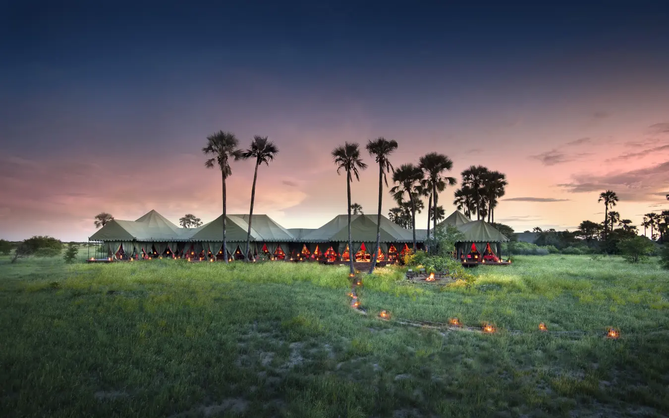 Safari camp with illuminated tents at sunset in grassland, Jack’s Camp, Makgadikgadi Pans, Botswana