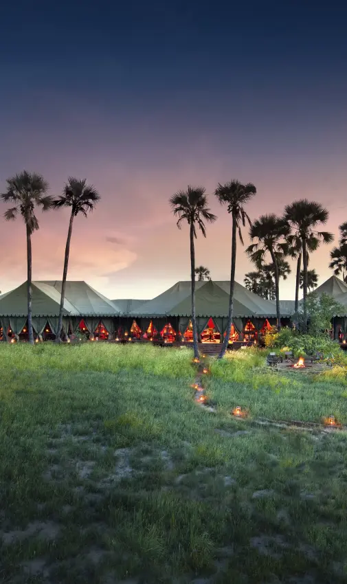 Safari camp with illuminated tents at sunset in grassland