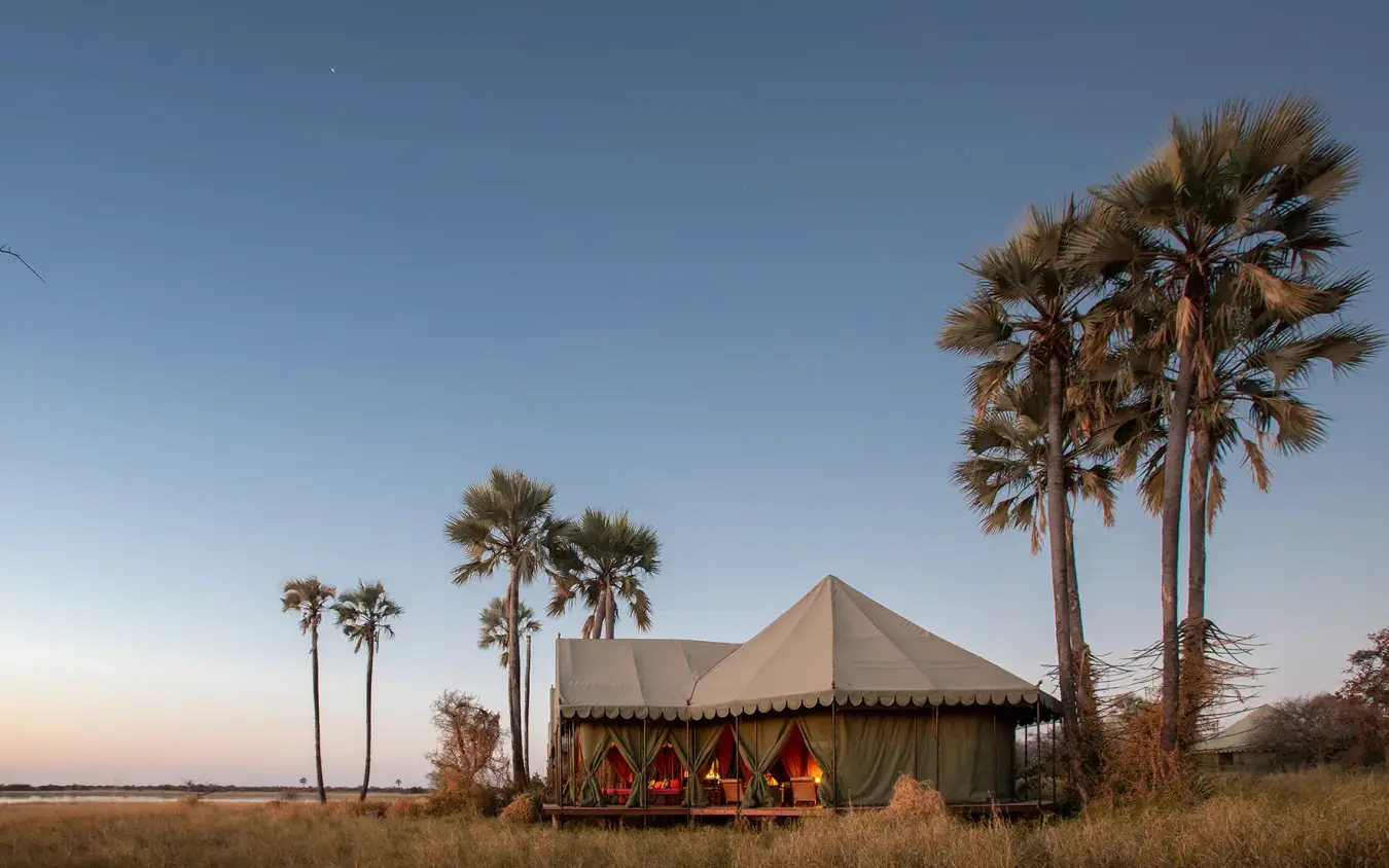 Canvas safari tent with palm trees at dusk, Jack’s Camp, Makgadikgadi Pans, Botswana