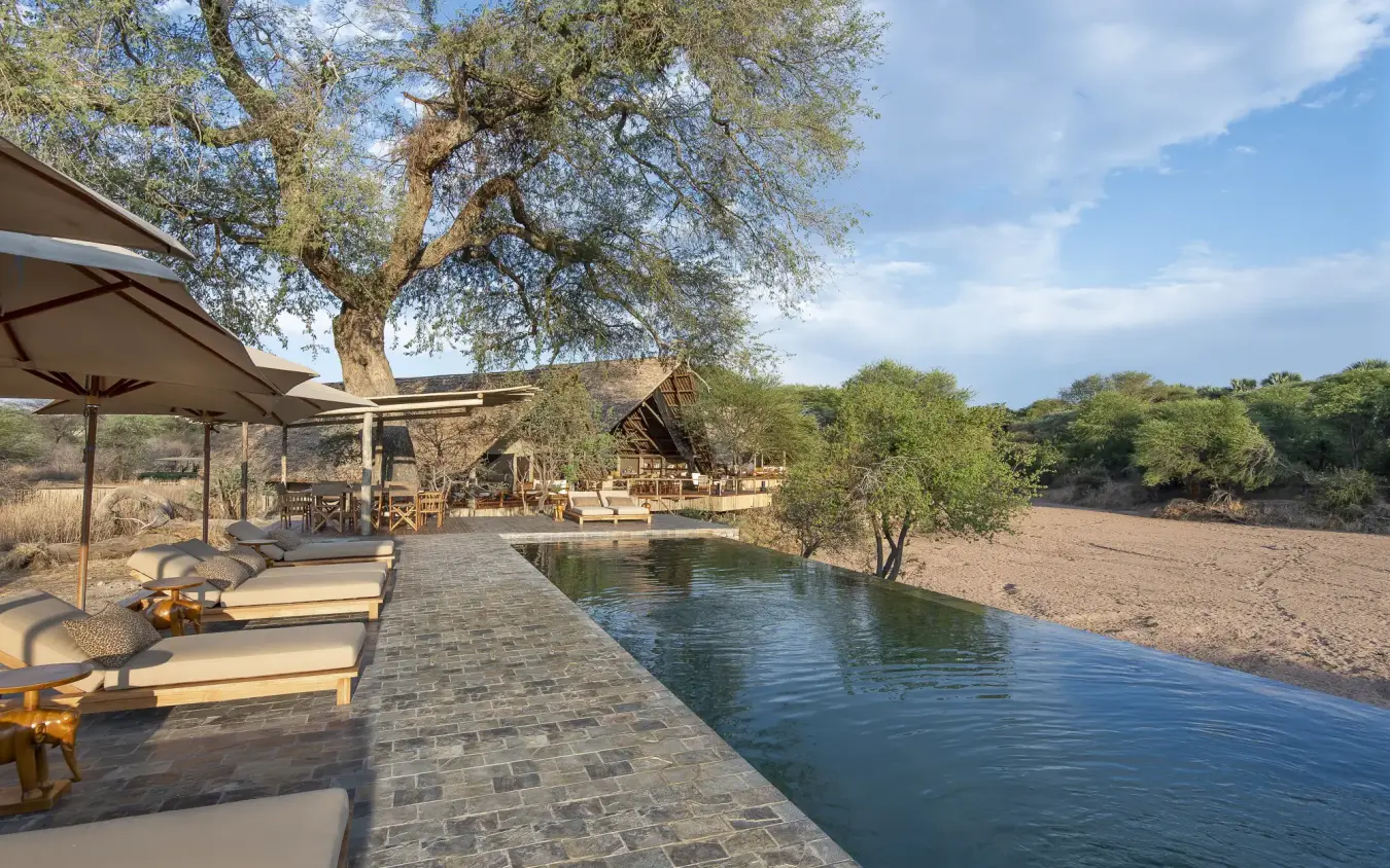 Infinity pool with loungers overlooking waterhole and acacia trees at safari lodge, Jongomero Bush Manor, Ruaha National Park, Tanzania