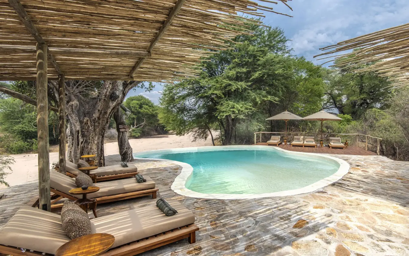 Curved swimming pool with wooden loungers and pergola shade, Jongomero Camp, Ruaha National Park, Tanzania