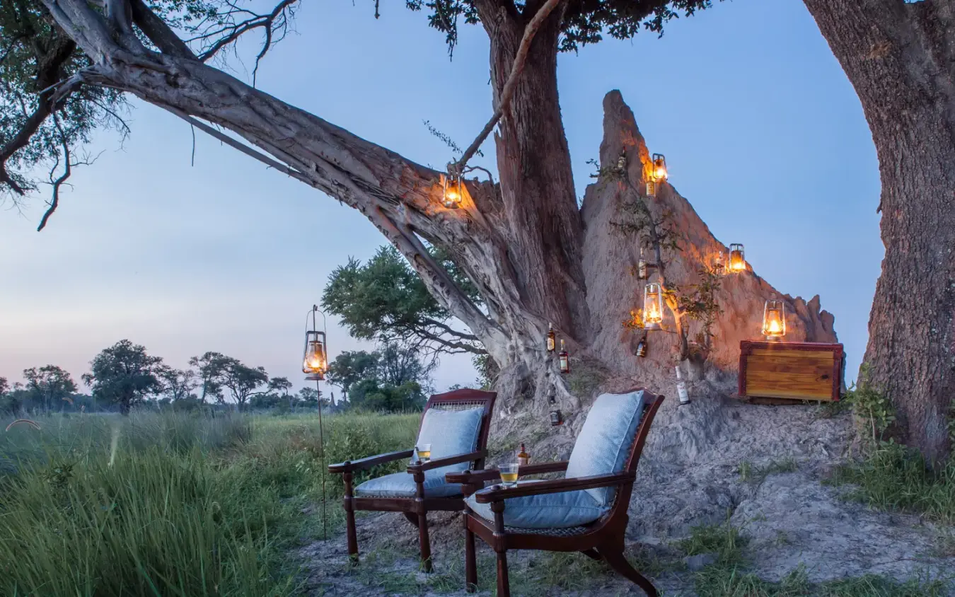 Outdoor lounge chairs beneath ancient tree at dusk, Kanana, The Okavango Delta, Botswana