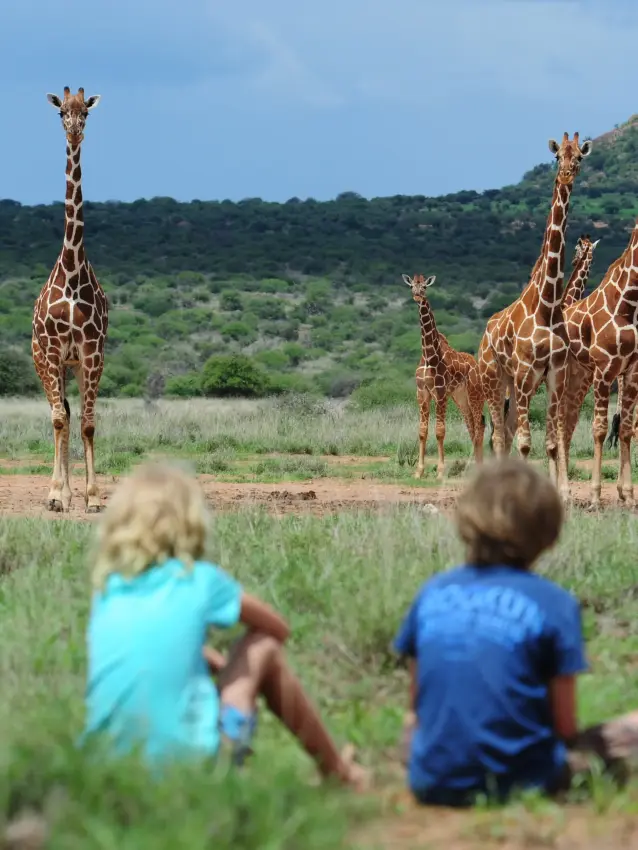 Children watching giraffe herd in savanna landscape, Karisia Walking Safaris, Laikipia Highlands, Kenya