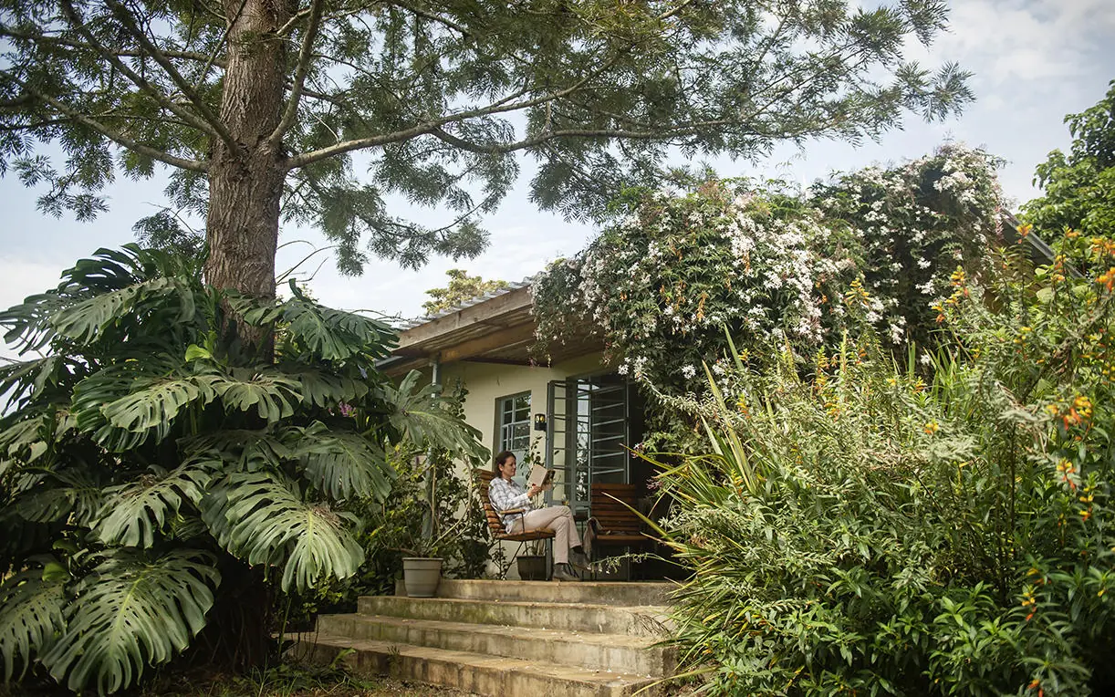 Modest cottage surrounded by lush tropical vegetation and trees, Katambuga House, Arusha, Tanzania