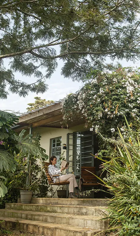 Modest cottage surrounded by lush tropical vegetation and trees, Katambuga House, Arusha, Tanzania