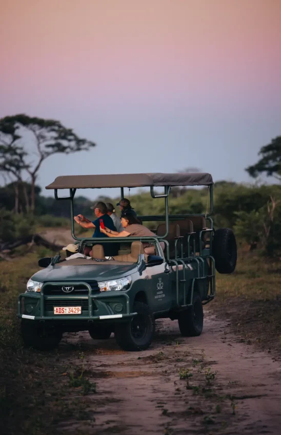 Safari vehicle with guests on game drive at sunset with acacia trees, Khulu Bush Camp, Hwange National Park, Zimbabwe