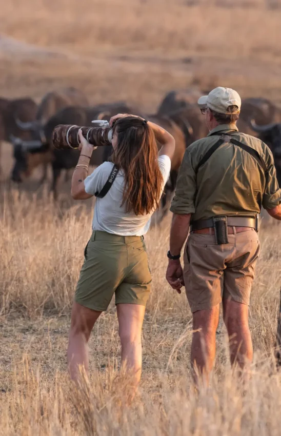 Female photographer with telephoto lens and guide observing wildlife in grassland, Khulu Bush Camp, Hwange National Park, Zimbabwe
