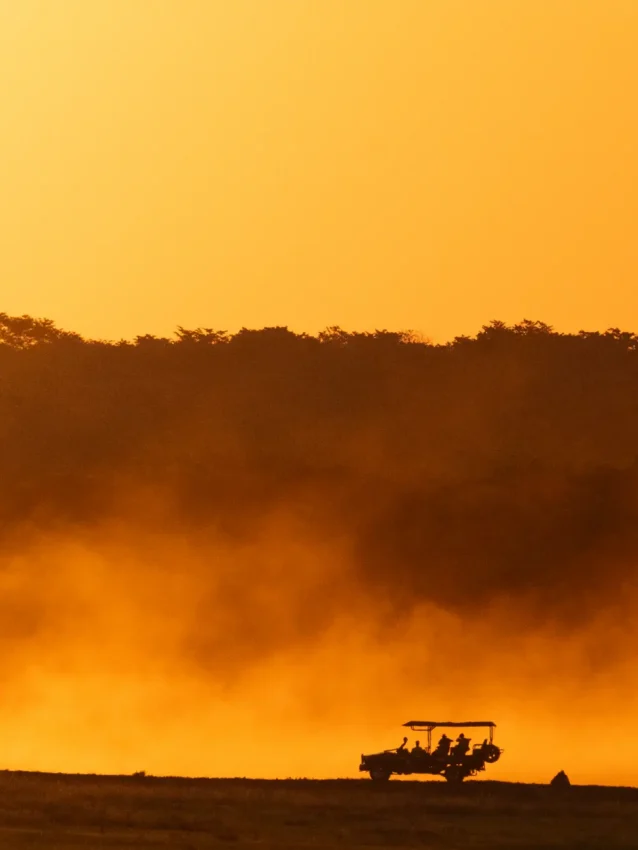 Dust cloud rising from savanna landscape at sunset with acacia trees silhouetted, Khulu Bush Camp, Hwange National Park, Zimbabwe