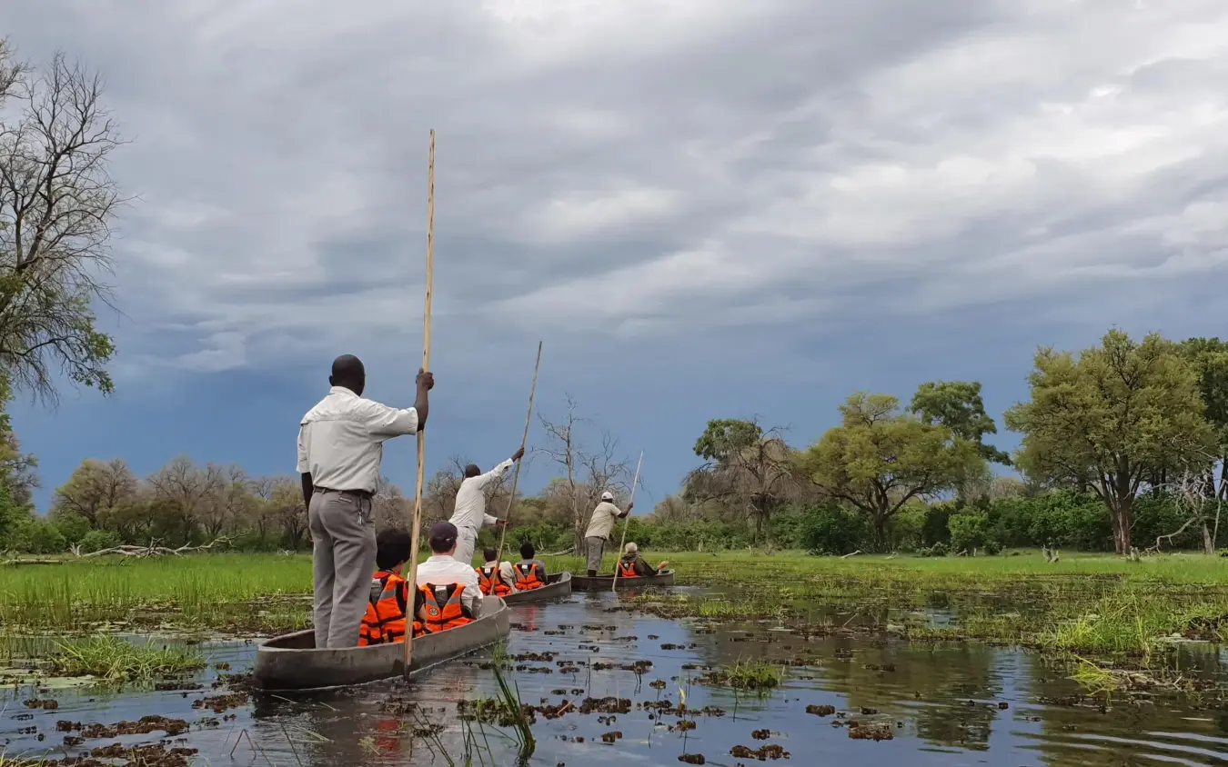 Guests poling traditional mokoro boats through waterway, Khwai Leadwood, The Okavango Delta, Botswana