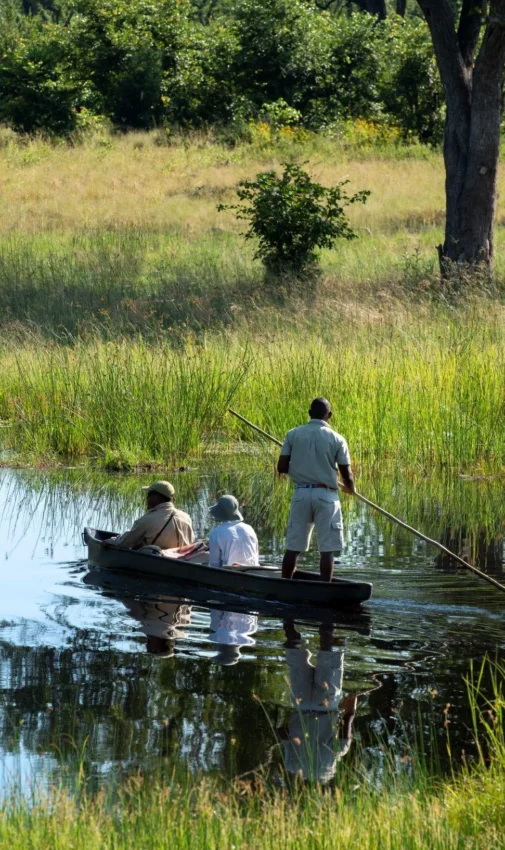 Guests poling traditional boat through wetland waterway, Linyanti Wildlife Reserve, Botswana