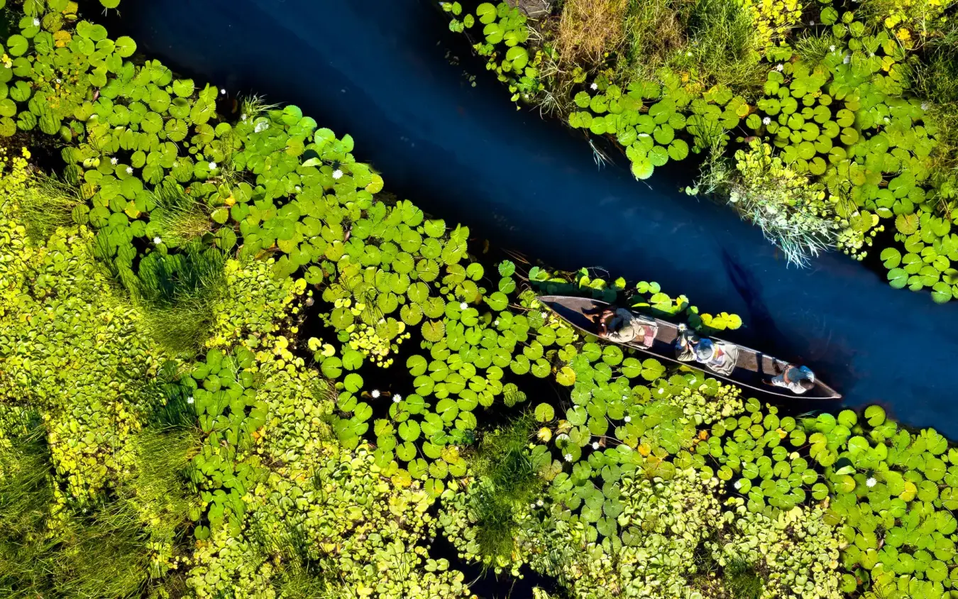 Aerial view of narrow river with water lilies and canoe, Khwai Leadwood, The Okavango Delta, Botswana