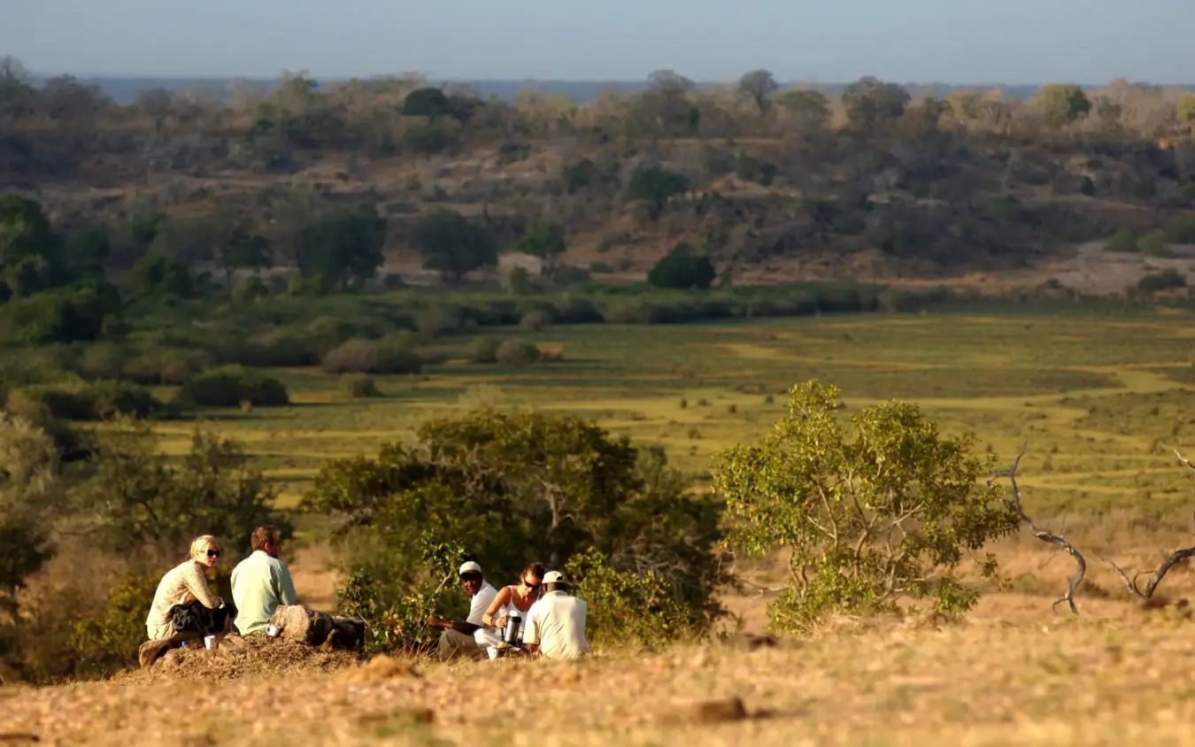 Group of guests on guided walking safari in arid woodland landscape, Kiba Point, Nyerere National Park, Tanzania