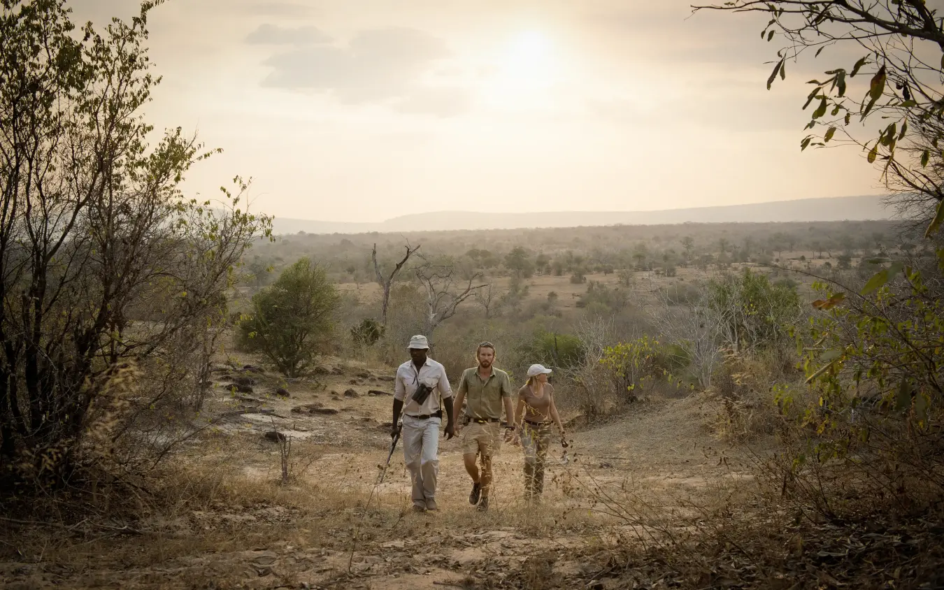 Guides walking through dry bushland landscape on foot safari, Kiba Point, Nyerere National Park, Tanzania