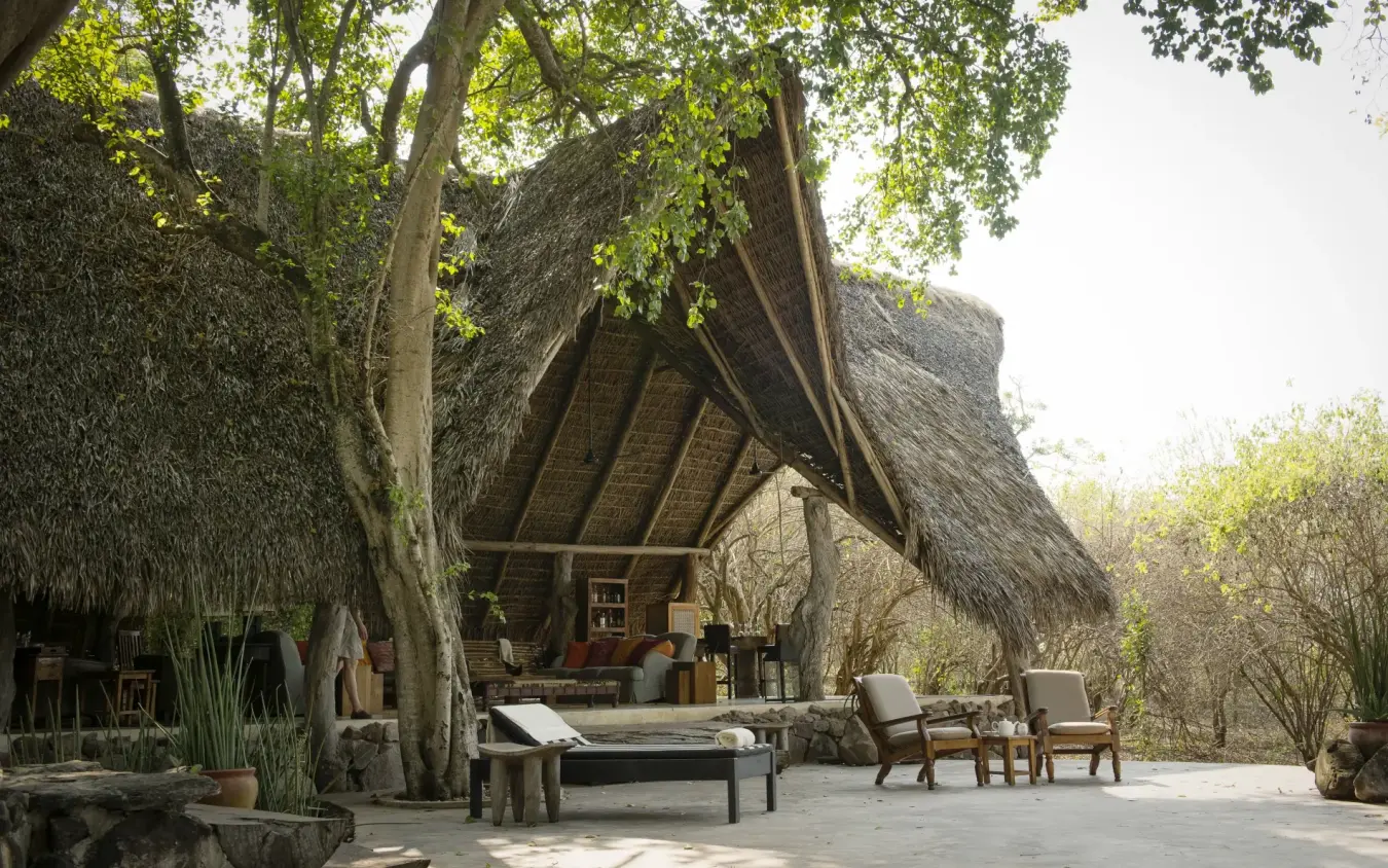 Thatched-roof lodge pavilion with large trees and outdoor seating area, Kiba Point, Nyerere National Park, Tanzania