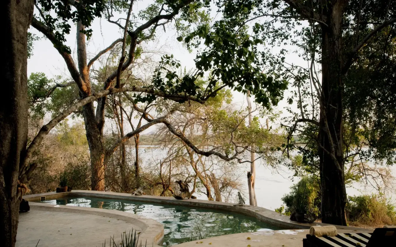 Infinity pool nestled among ancient trees overlooking river valley, Kiba Point, Nyerere National Park, Tanzania