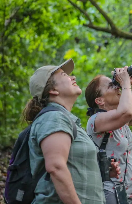 Guests birdwatching with binoculars in forest canopy, Kibale Lodge, Kibale Forest, Uganda