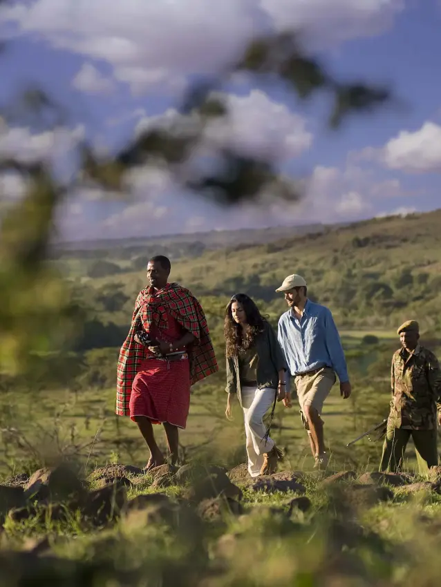 Walking safari group with local guides in savanna landscape, Kicheche Bush Olare, Maasai Mara, Kenya
